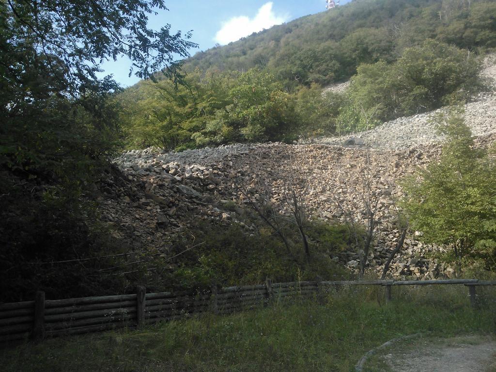 Locanda-Trattoria Al Rio Cinto Euganeo Luaran gambar